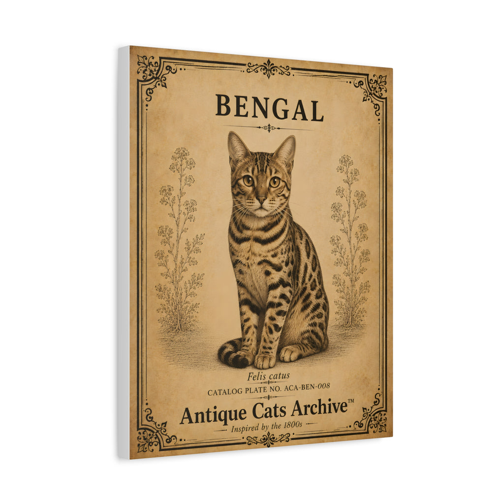 Bengal Cat Canvas | Vintage Antique Cats Archive Wall Art