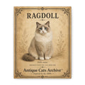 Ragdoll Cat Canvas | Vintage Antique Cats Archive Wall Art