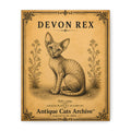 Devon Rex Vintage Cat Canvas Print