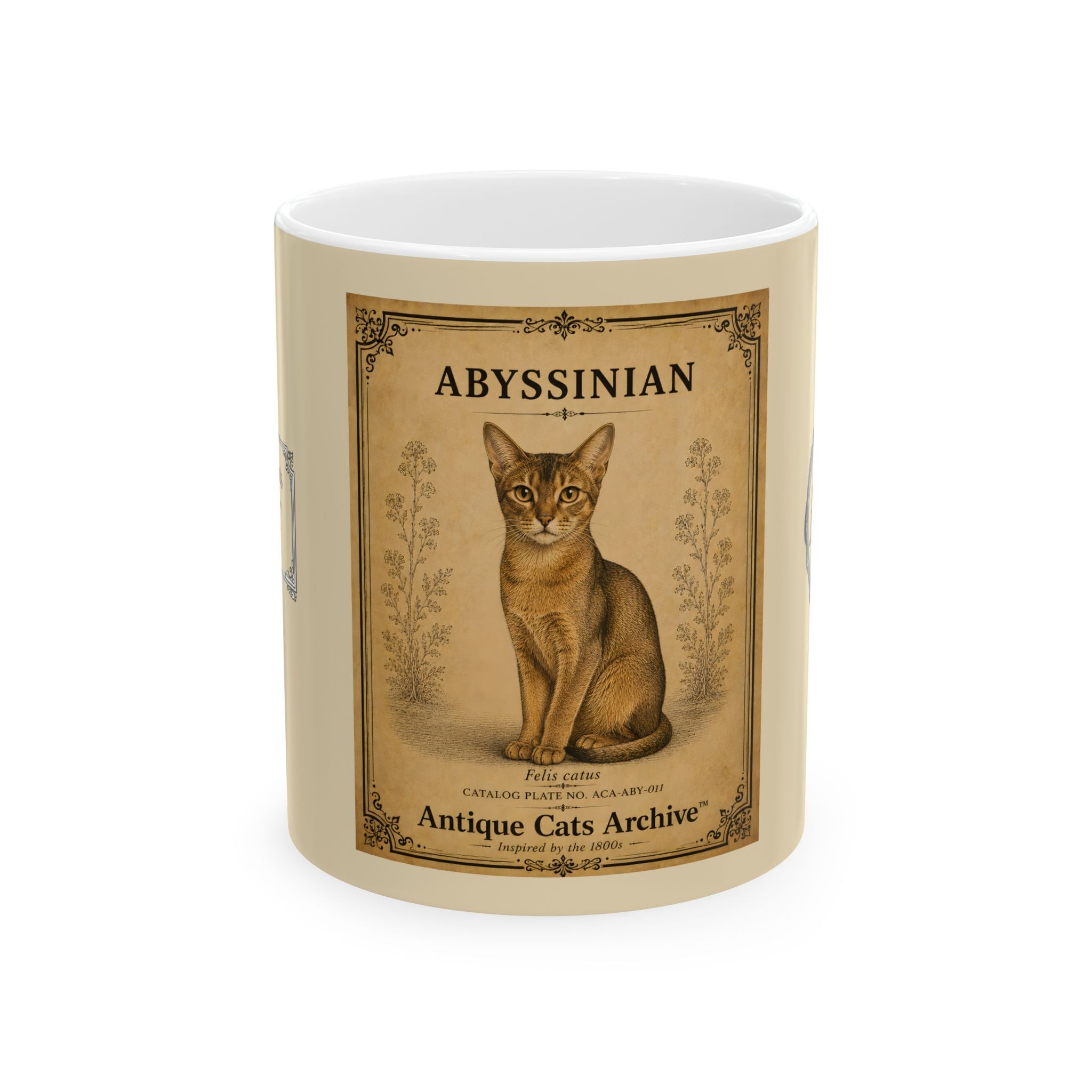 Abyssinian Cat Vintage Illustration Mug | Antique Cats Archive