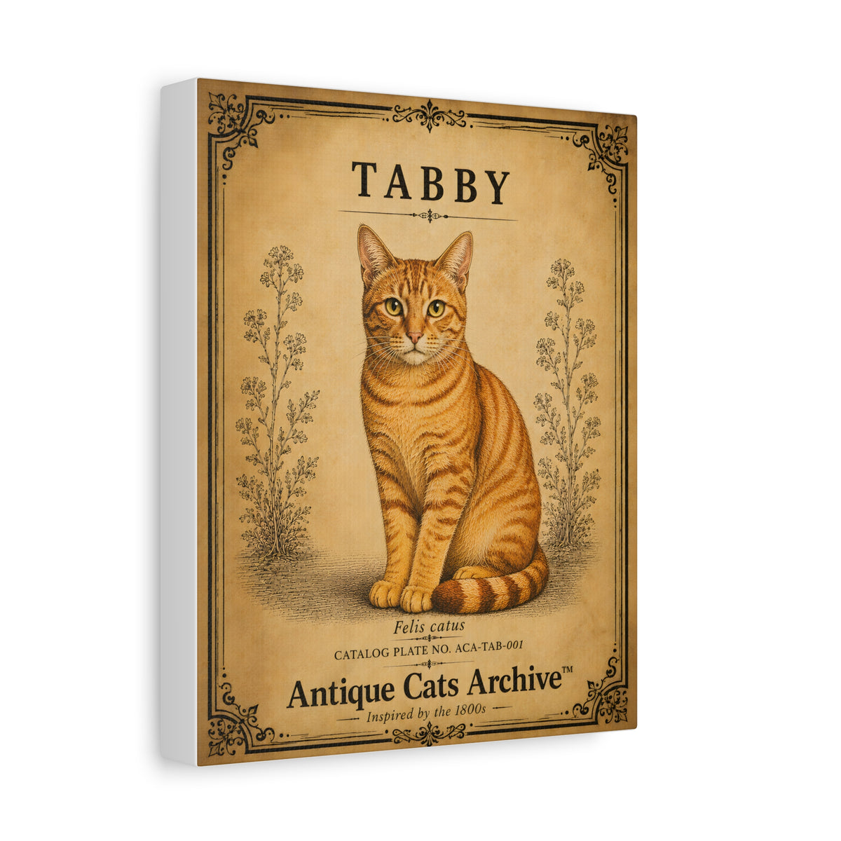 Tabby Cat Canvas | Vintage Antique Cats Archive Wall Art