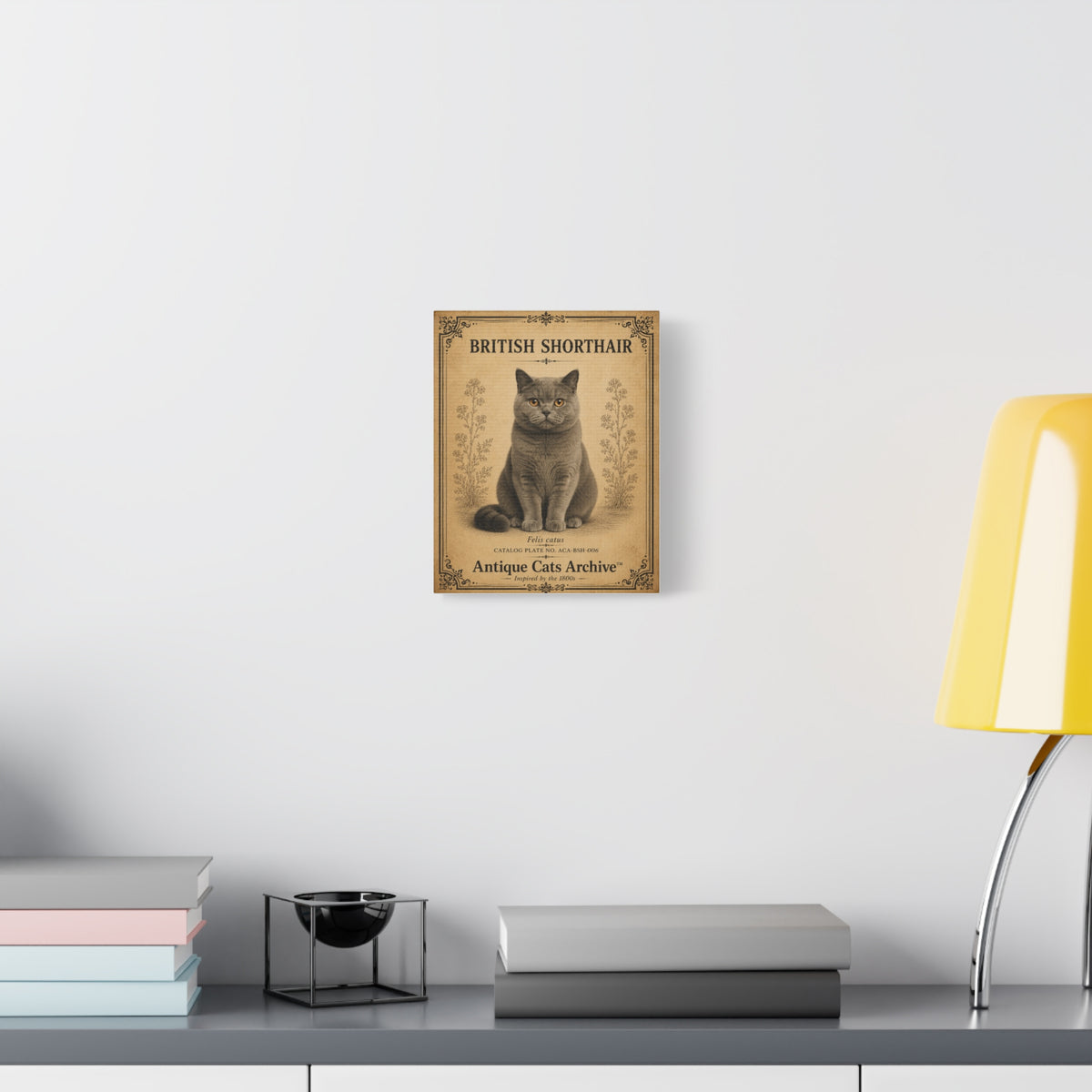 British Shorthair Cat Canvas | Vintage Antique Cats Archive Wall Art
