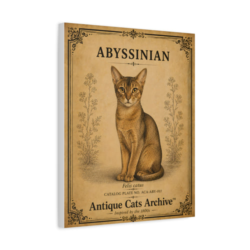 Abyssinian Cat Canvas | Vintage Antique Cats Archive Wall Art