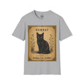 Bombay Cat T-Shirt | Vintage Black Cat Illustration | Antique Cats Archive™