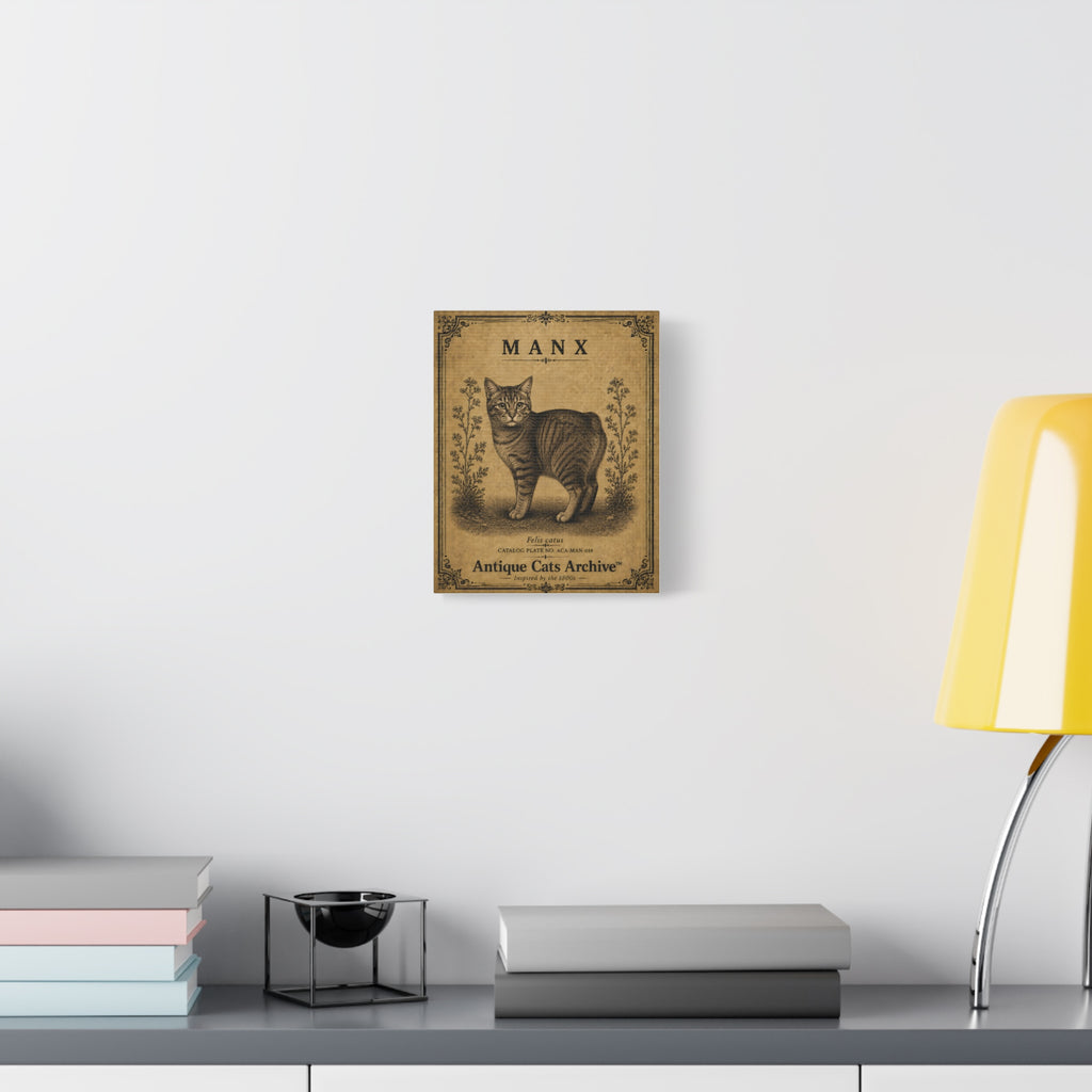 Manx Cat Canvas | Vintage Antique Cats Archive Wall Art