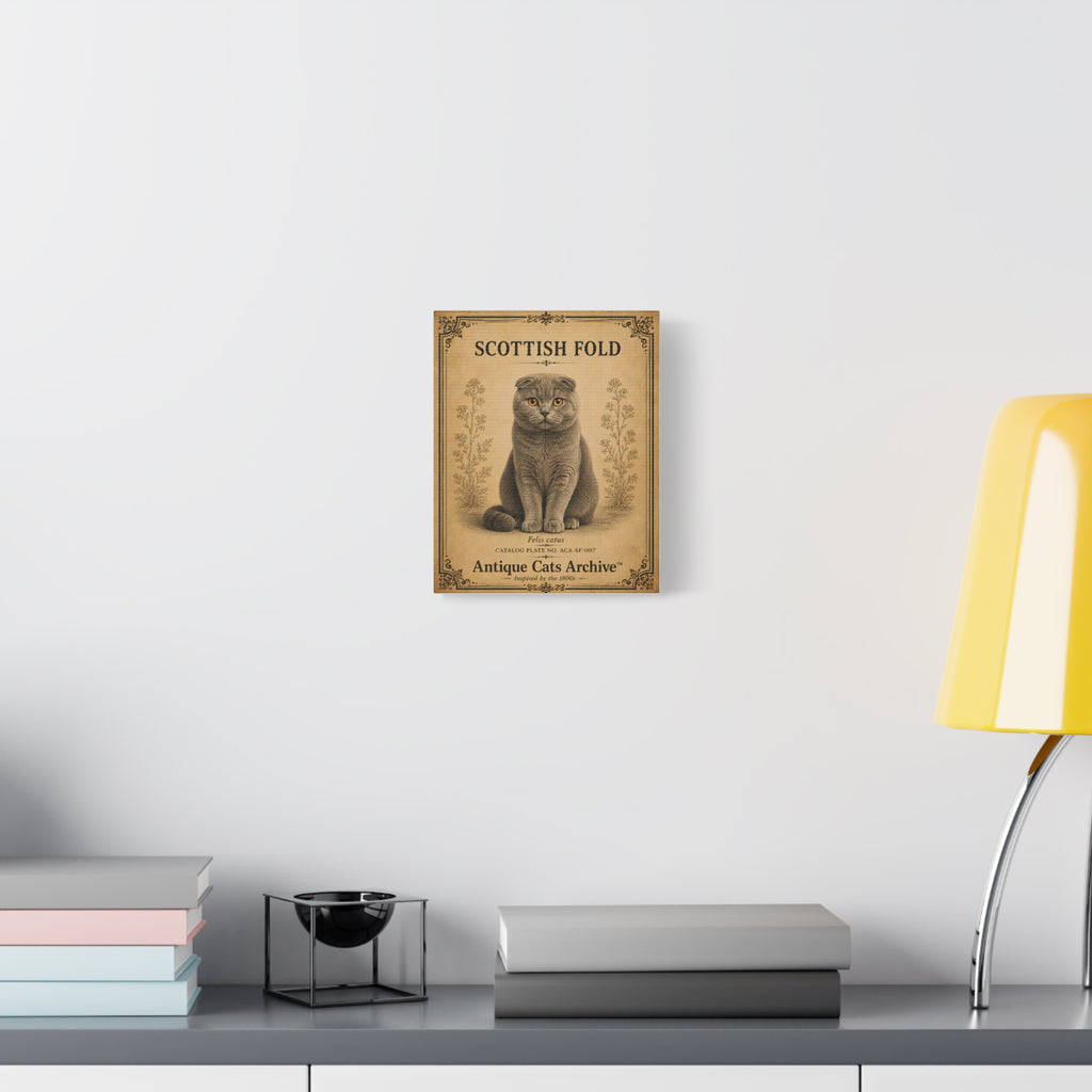 Scottish Fold Cat Canvas | Vintage Antique Cats Archive Wall Art