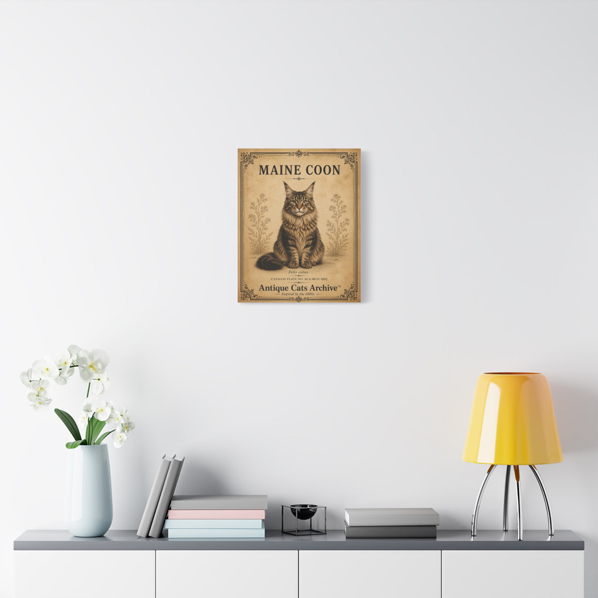 Maine Coon Cat Canvas | Vintage Antique Cats Archive Wall Art