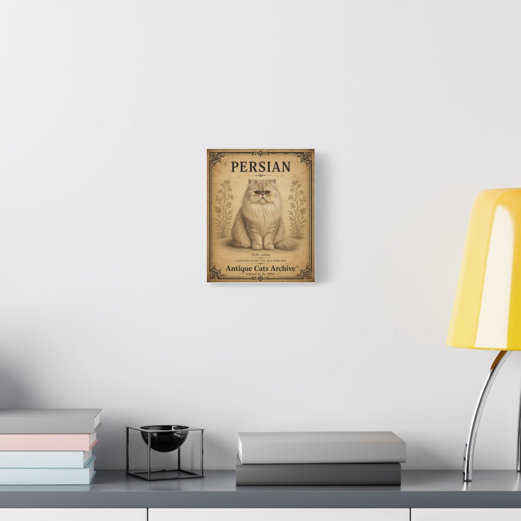 Persian Cat Canvas | Vintage Antique Cats Archive Wall Art