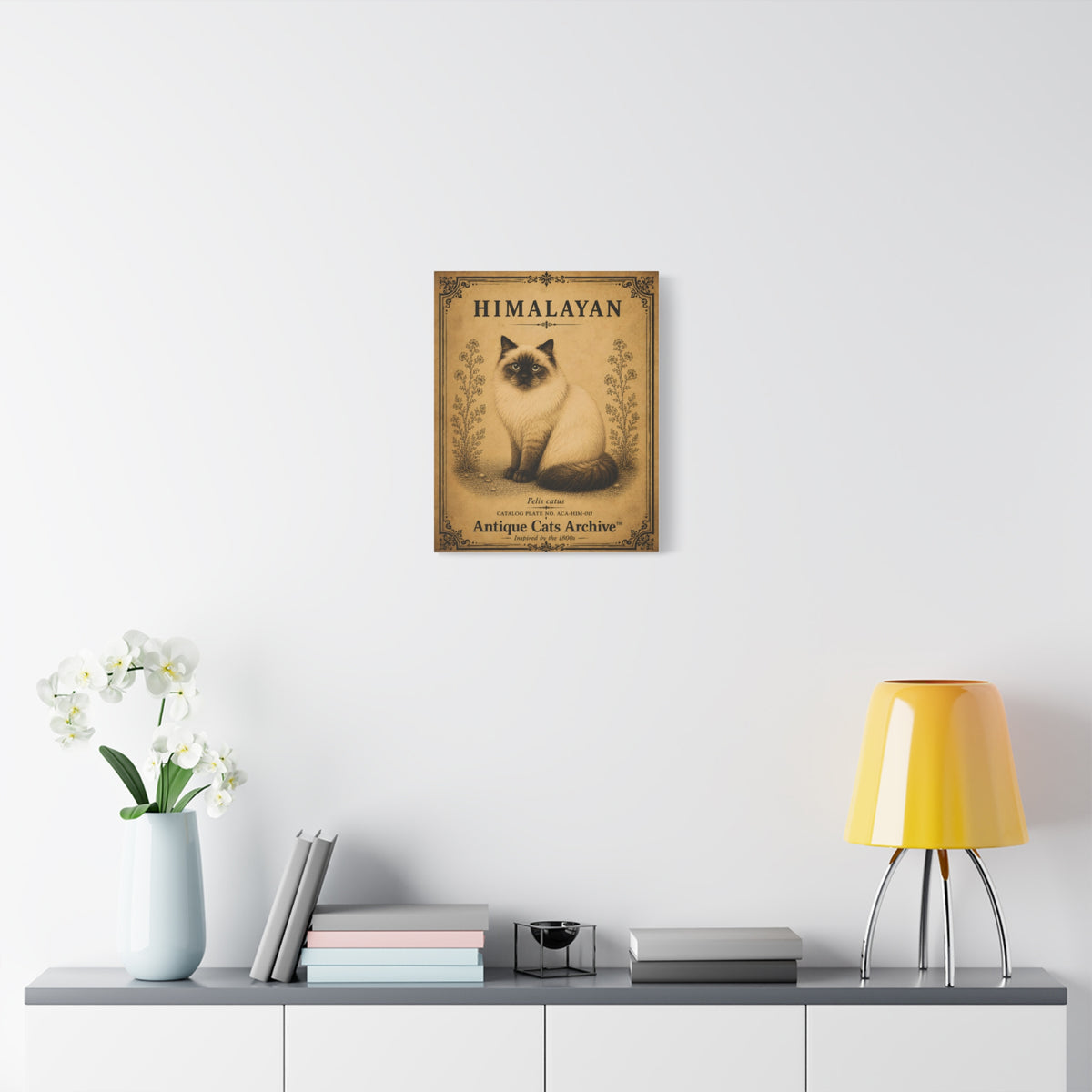 Himalayan Cat Canvas | Vintage Antique Cats Archive Wall Art