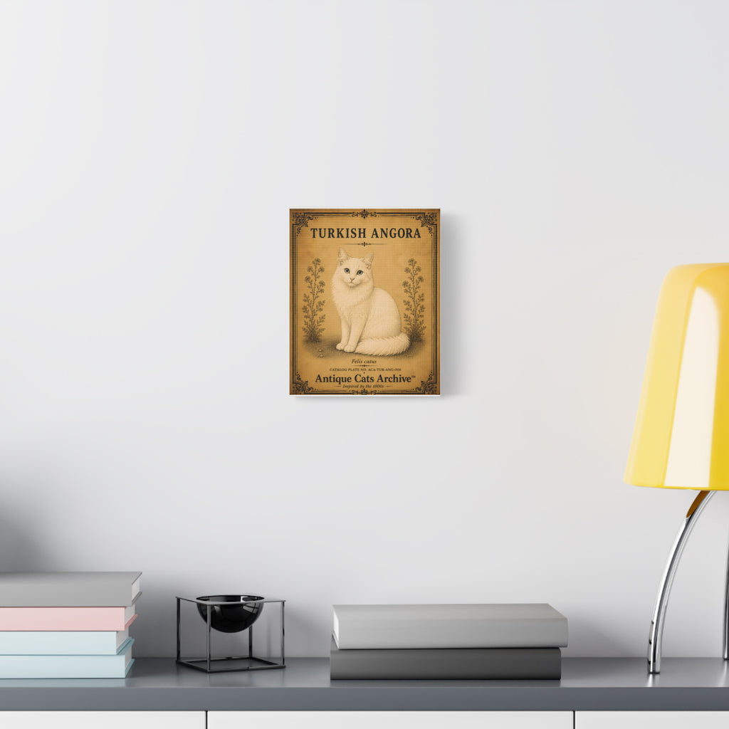 Turkish Angora Cat Canvas | Vintage Antique Cats Archive Wall Art