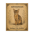 Abyssinian Cat Canvas | Vintage Antique Cats Archive Wall Art