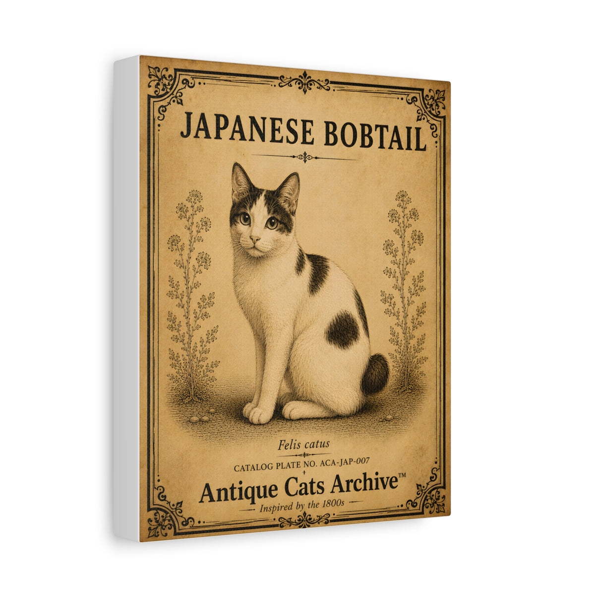 Japanese Bobtail Cat Canvas | Vintage Antique Cats Archive Wall Art