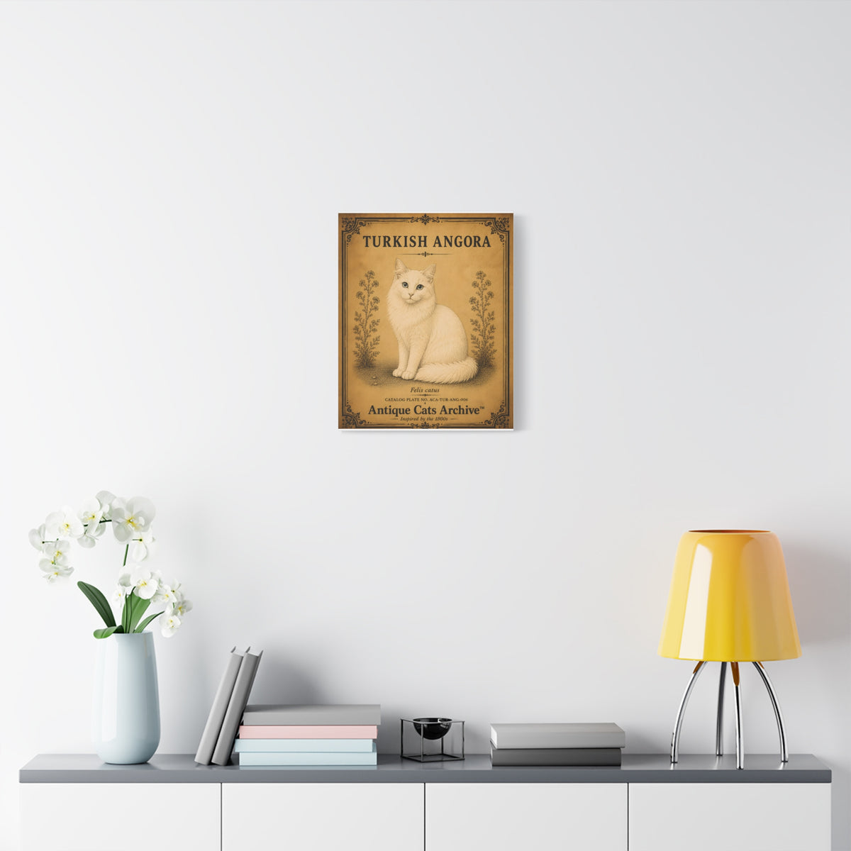 Turkish Angora Cat Canvas | Vintage Antique Cats Archive Wall Art