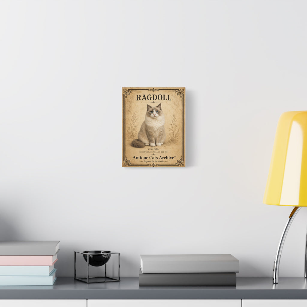 Ragdoll Cat Canvas | Vintage Antique Cats Archive Wall Art