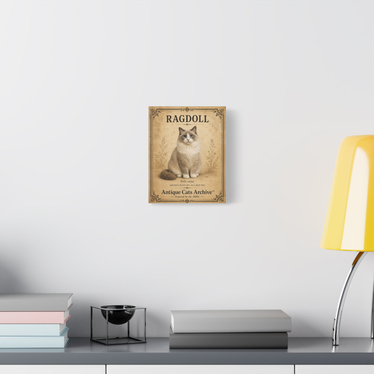 Ragdoll Cat Canvas | Vintage Antique Cats Archive Wall Art