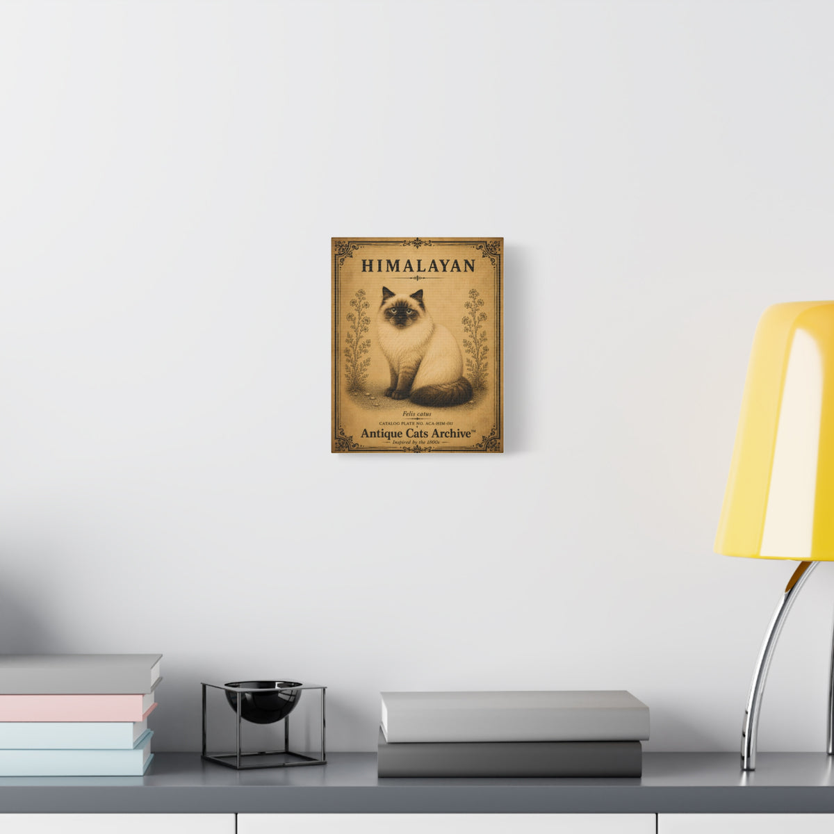 Himalayan Cat Canvas | Vintage Antique Cats Archive Wall Art