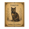 Tortie Cat Antique-Style Canvas Print — Vintage 'Antique Cats Archive' Wall Art