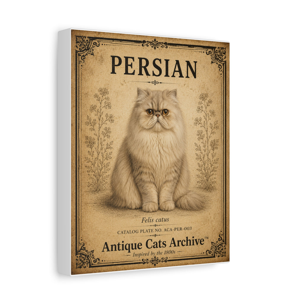 Persian Cat Canvas | Vintage Antique Cats Archive Wall Art
