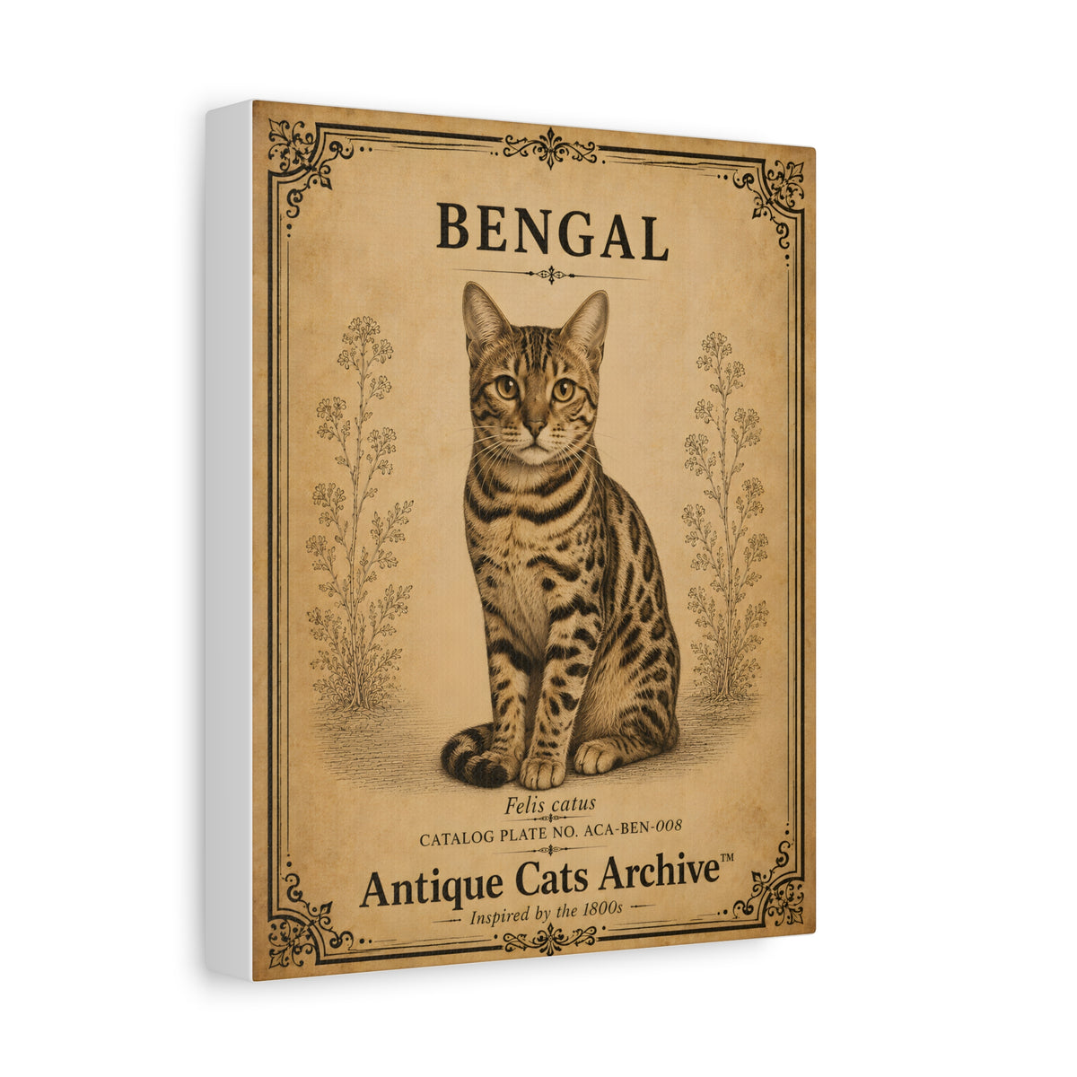 Bengal Cat Canvas | Vintage Antique Cats Archive Wall Art