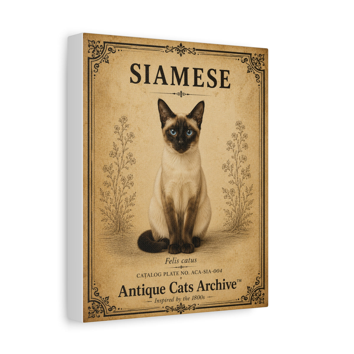 Siamese Cat Canvas | Vintage Antique Cats Archive Wall Art