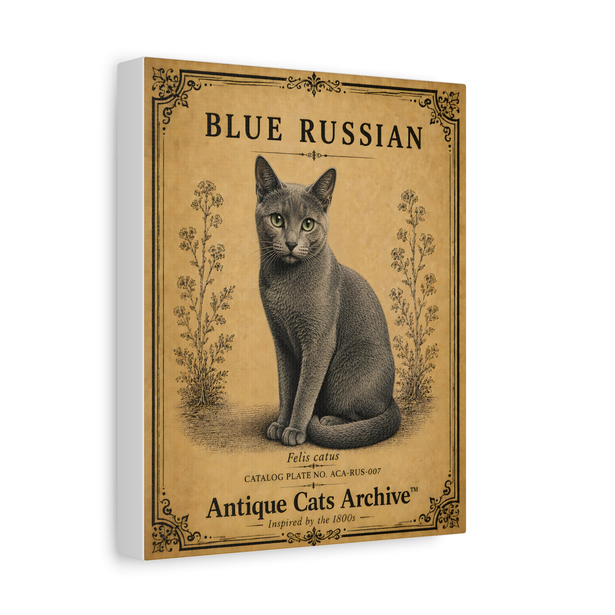 Russian Blue Cat Canvas | Vintage Antique Cats Archive Wall Art