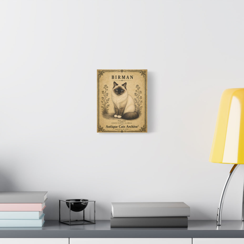 Birman Cat Canvas | Vintage Antique Cats Archive Wall Art