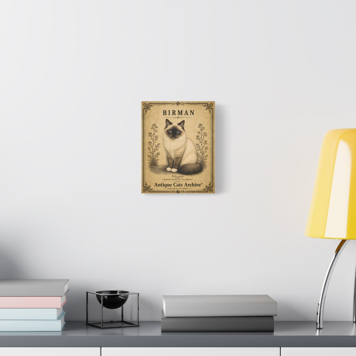 Birman Cat Canvas | Vintage Antique Cats Archive Wall Art