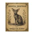 Oriental Shorthair Cat Canvas | Vintage Antique Cats Archive Wall Art