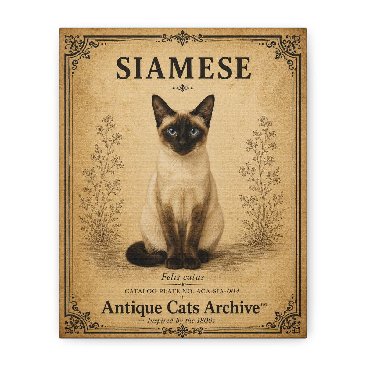 Siamese Cat Canvas | Vintage Antique Cats Archive Wall Art