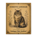 Domestic Longhair Cat Canvas | Vintage Antique Cats Archive Wall Art
