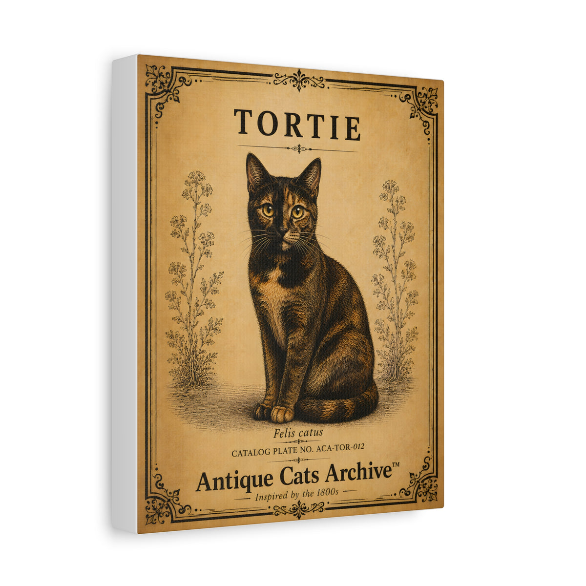 Tortie Cat Antique-Style Canvas Print — Vintage 'Antique Cats Archive' Wall Art