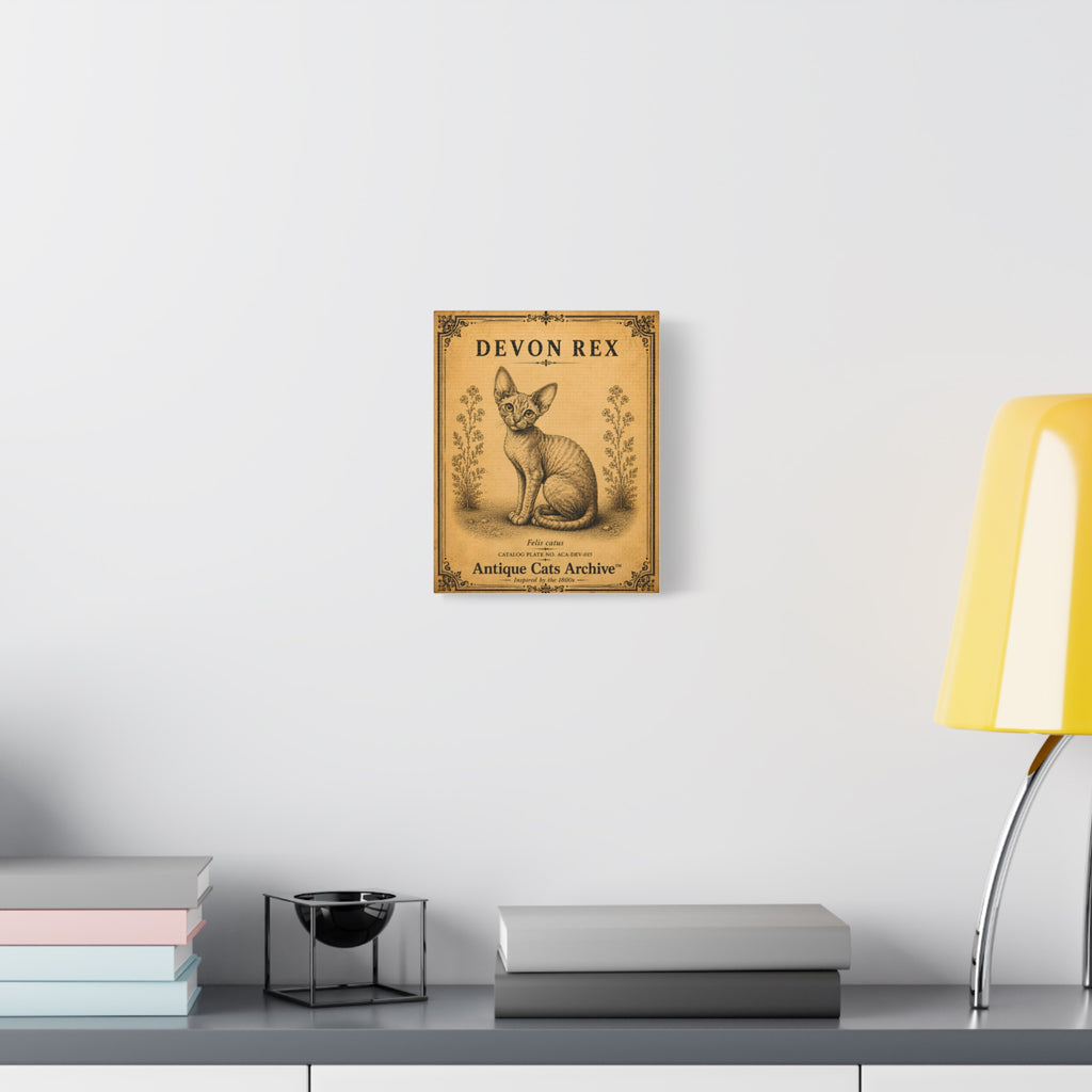 Devon Rex Vintage Cat Canvas Print