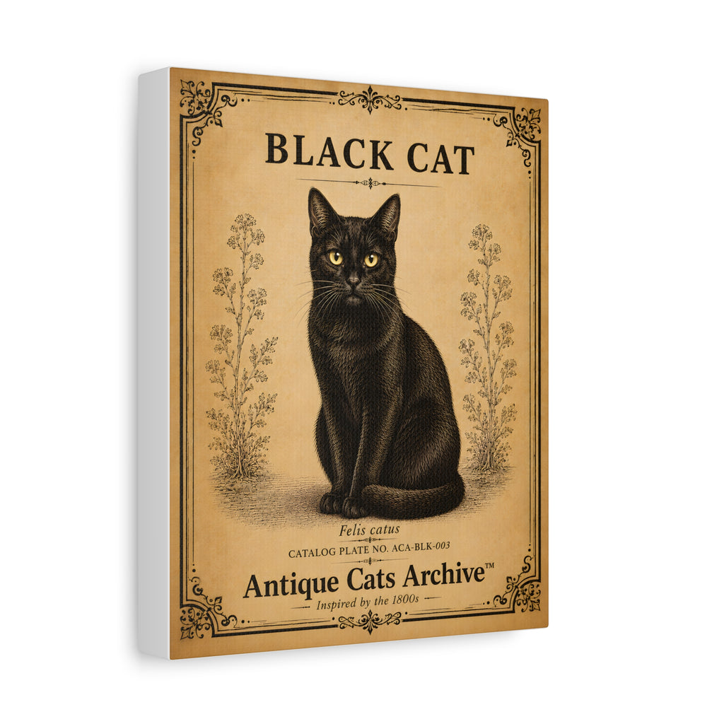 Black Cat Canvas | Vintage Antique Cats Archive Wall Art