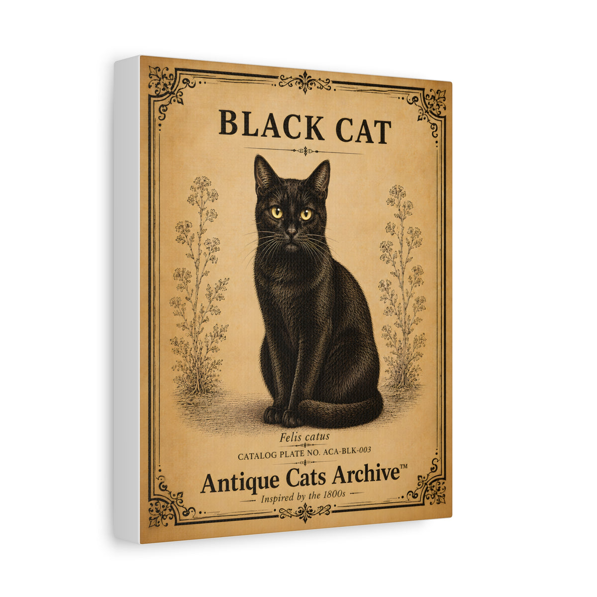 Black Cat Canvas | Vintage Antique Cats Archive Wall Art