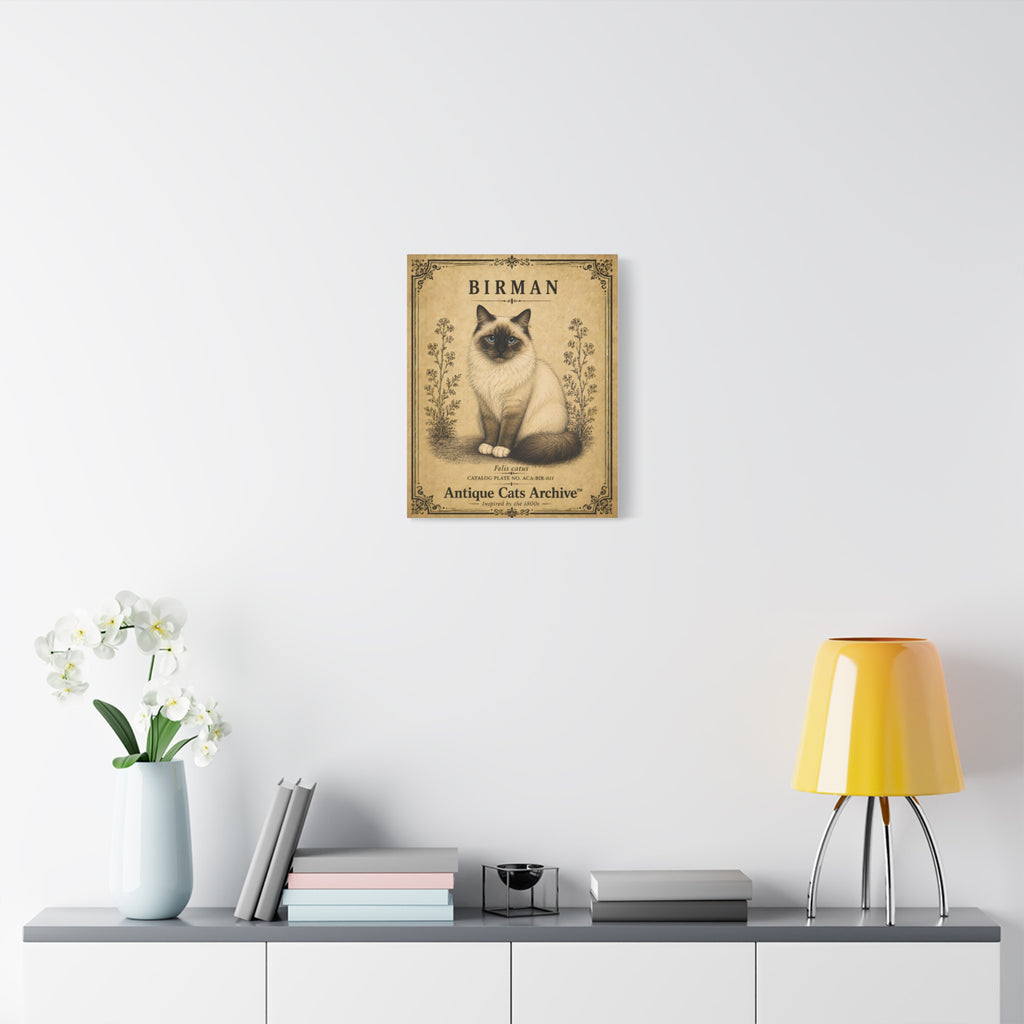 Birman Cat Canvas | Vintage Antique Cats Archive Wall Art