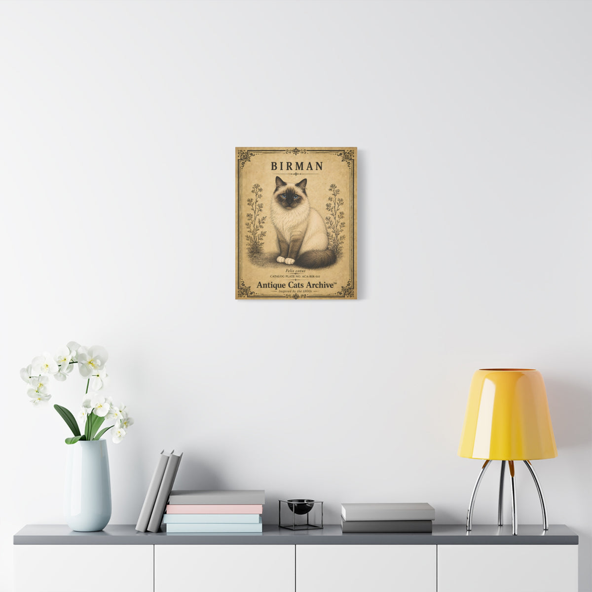 Birman Cat Canvas | Vintage Antique Cats Archive Wall Art