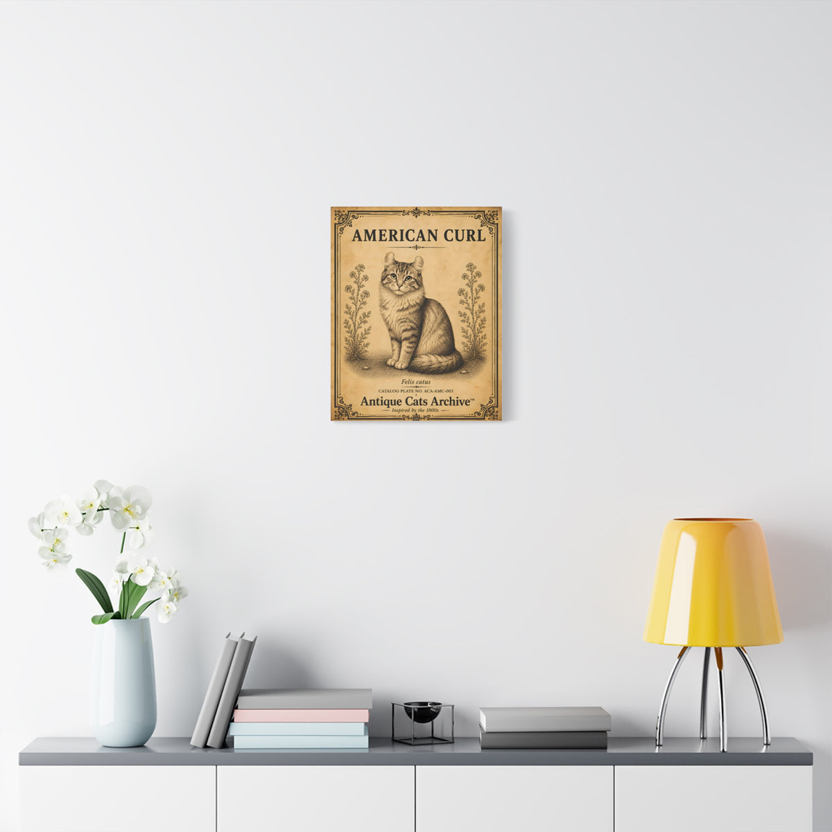 American Curl Cat Canvas | Vintage Antique Cats Archive Wall Art