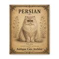 Persian Cat Canvas | Vintage Antique Cats Archive Wall Art
