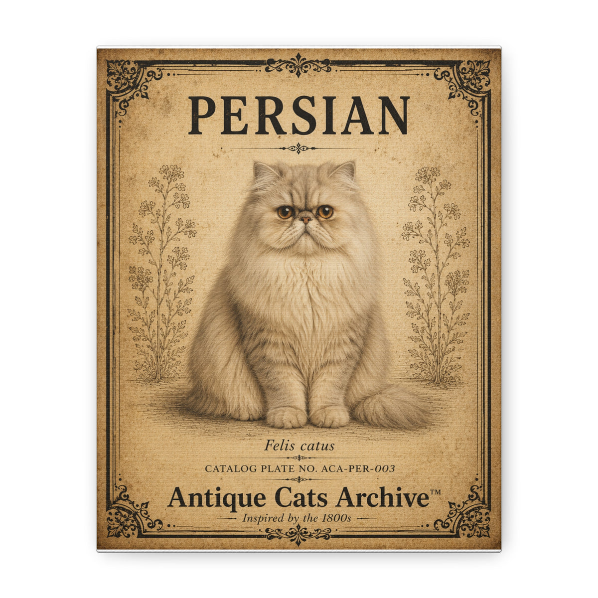 Persian Cat Canvas | Vintage Antique Cats Archive Wall Art