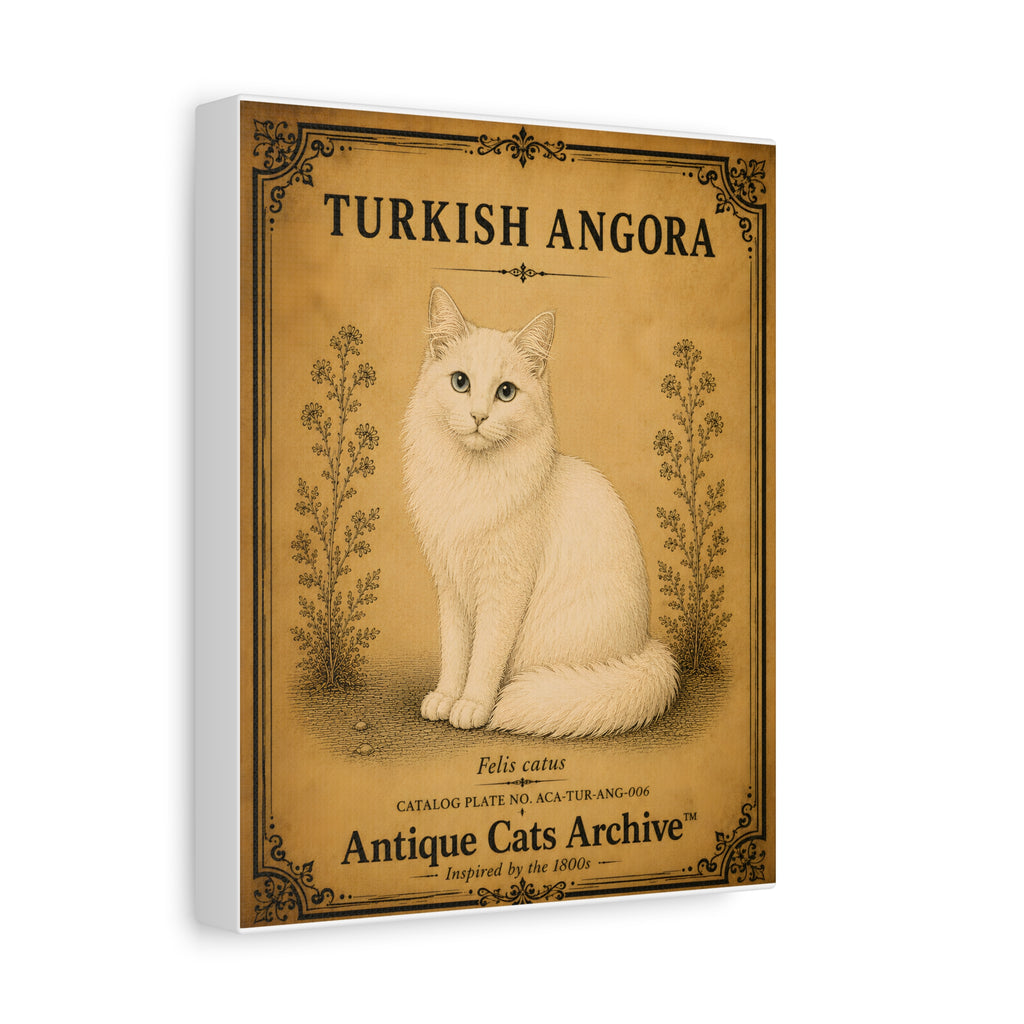 Turkish Angora Cat Canvas | Vintage Antique Cats Archive Wall Art