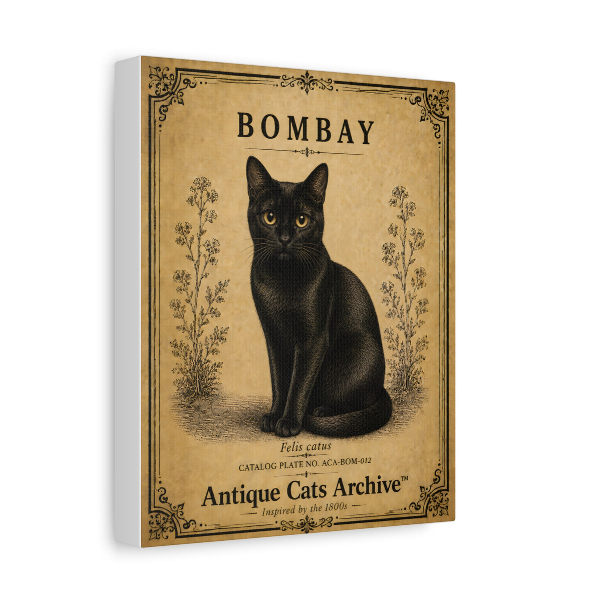 Bombay Cat Canvas | Vintage Antique Cats Archive Wall Art