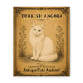 Turkish Angora Cat Canvas | Vintage Antique Cats Archive Wall Art