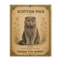 Scottish Fold Cat Canvas | Vintage Antique Cats Archive Wall Art