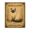 Himalayan Cat Canvas | Vintage Antique Cats Archive Wall Art
