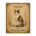 Calico Cat Canvas | Vintage Antique Cats Archive Wall Art