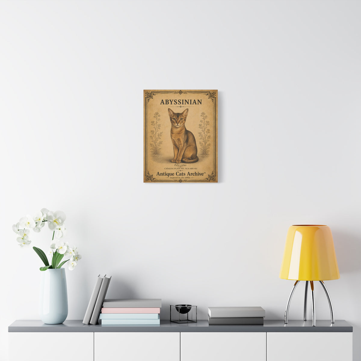Abyssinian Cat Canvas | Vintage Antique Cats Archive Wall Art