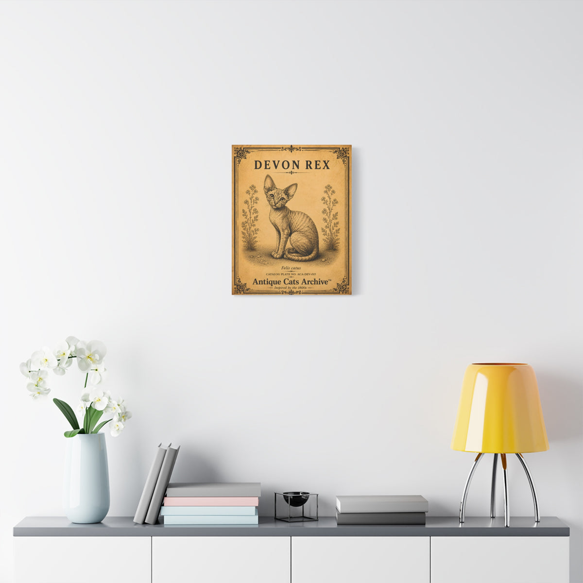 Devon Rex Vintage Cat Canvas Print
