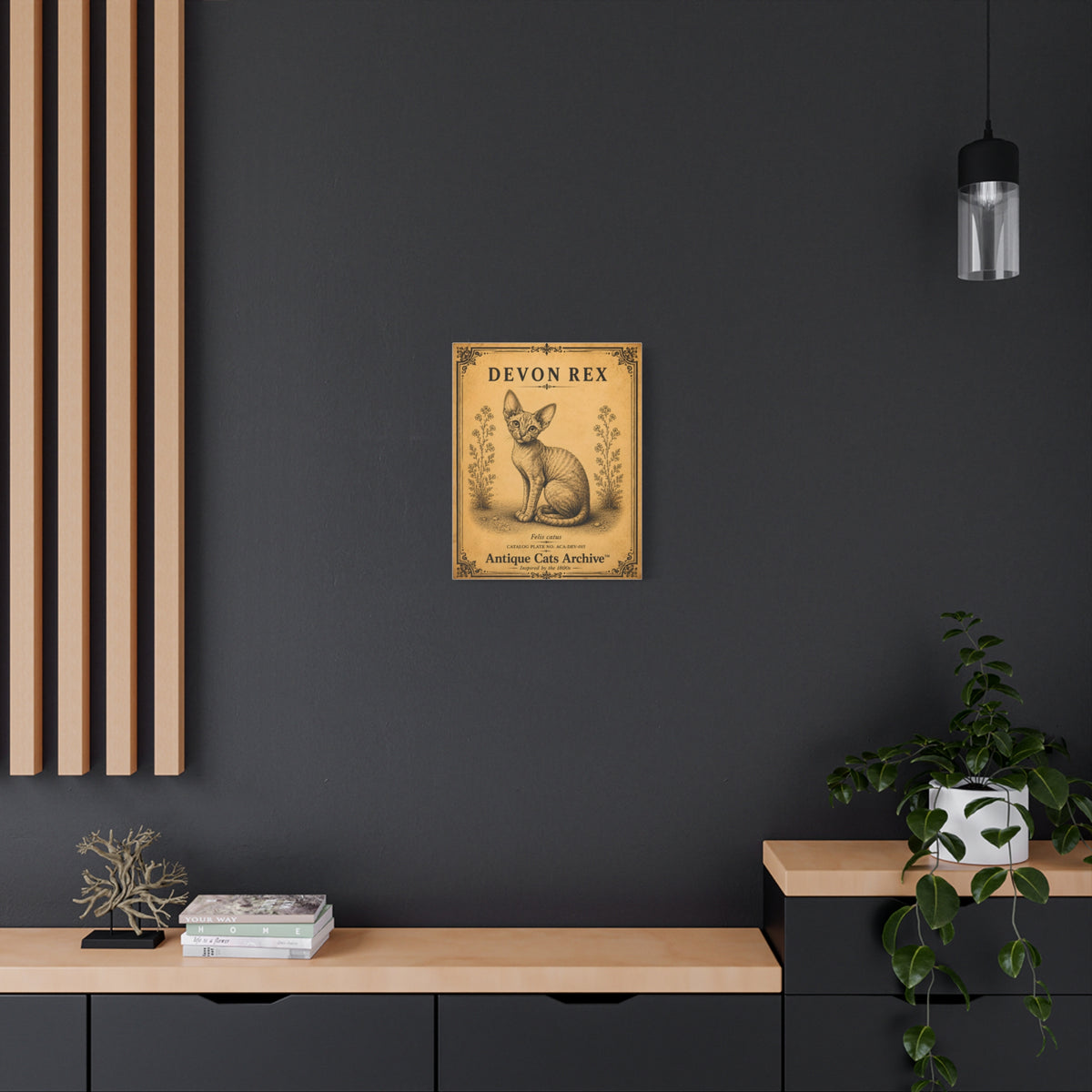 Devon Rex Vintage Cat Canvas Print
