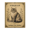Siberian Cat Canvas | Vintage Antique Cats Archive Wall Art