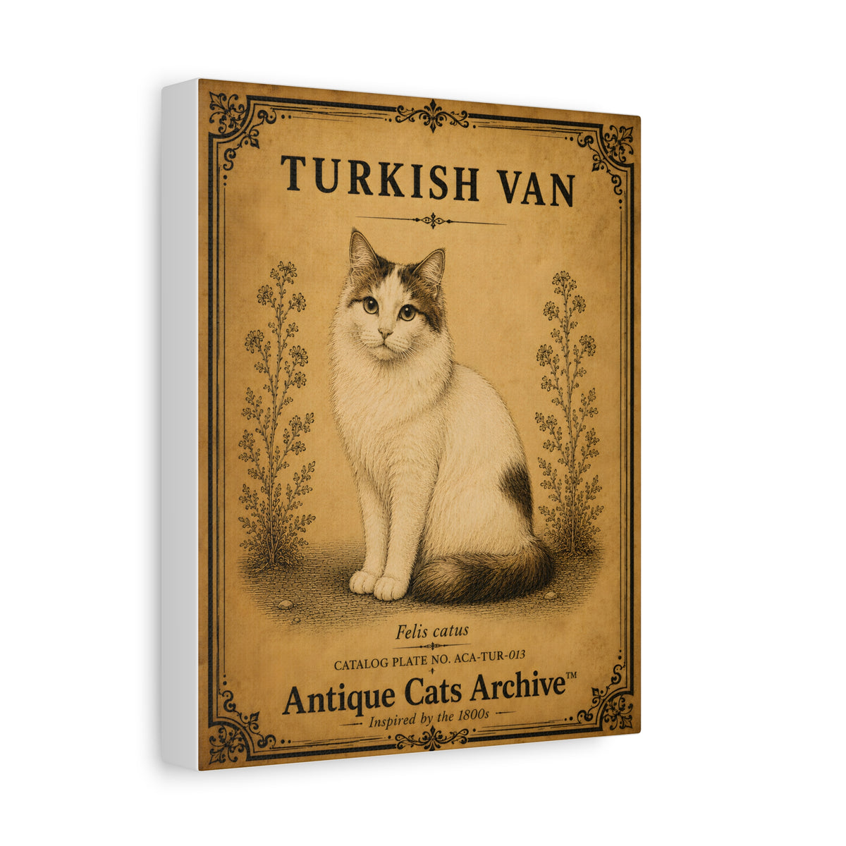 Turkish Van Canvas Wall Art | Vintage Cat Portrait | Antique Cats Archive™